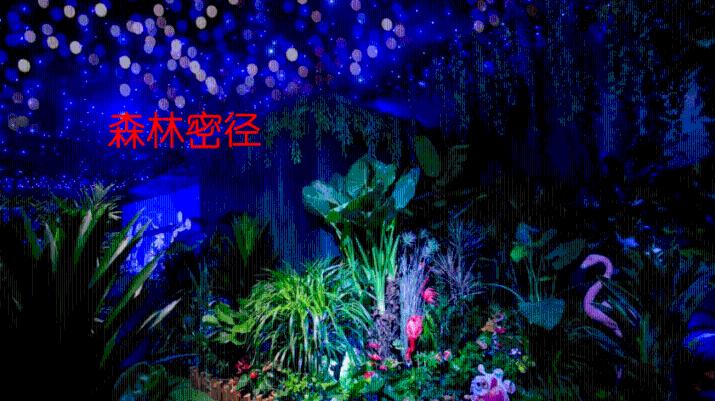 受困的西红柿